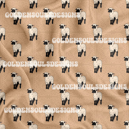 Sheep