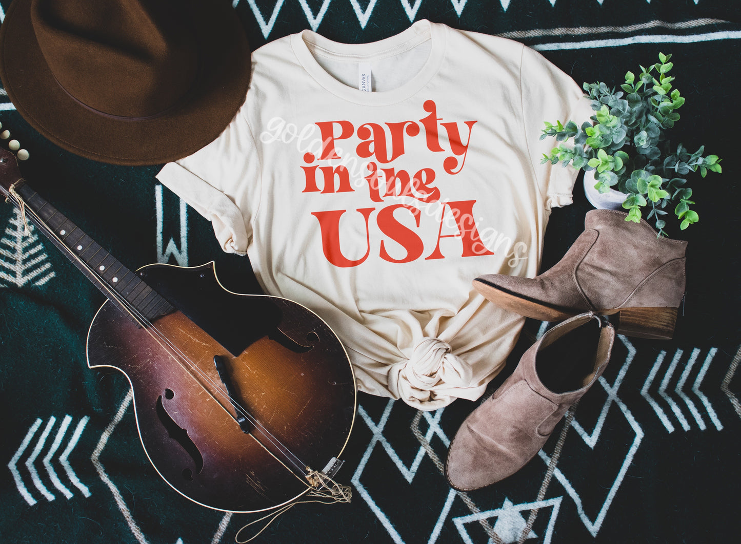 Party in the USA